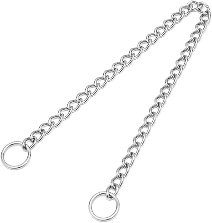 Slip P Chain Dog Collars for Large Dogs,Training Link Stainless Steel Martingale Collars Puppy Chain for XXS XS Small Medium Large Breed Dogs, Silver, M 