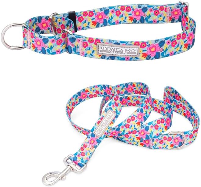 Lucky Love Dog Martingale Dog Collar & Leash - Adjustable, No-Slip, Durable, Comfortable, Soft Webbing, & Stylish Patterned Collar & Leash Set for Male and Female Dogs - Valentina Combo, Large