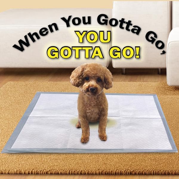 Scoochie Pets Large Dog Training Pads - 12 Pack Puppy Pads, 22 x 22 Absorbent Sheets for Adult & Young Pets - Convenient Box of Leak-Proof Pee Pads for Dogs, Ideal for Home & Travel