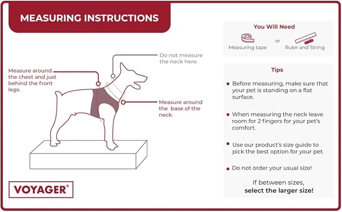 Best Pet Supplies Voyager Step-in Air All Weather Mesh Harness and Reflective Dog 5ft Leash Combo with Neoprene Handle, for Small, Medium and Large Breed Puppies - Set (Fuchsia), XX-Small