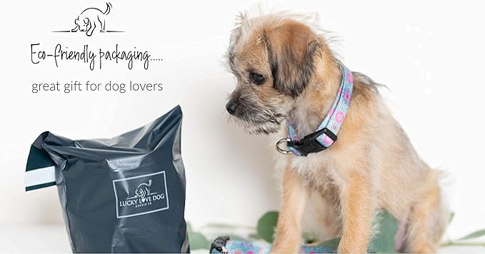 Lucky Love Dog - Adjustable Dog Collar with Easy Click Buckle for Large Ones, Durable, & Comfortable for Male & Female Dogs, Pet Collar for Puppies & Adult Dogs - Clara, Large