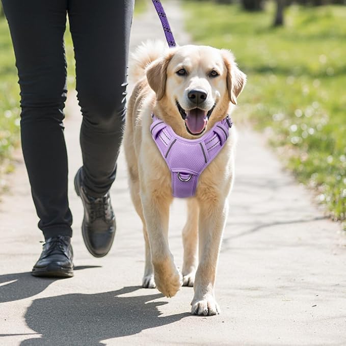 BARKBAY No Pull Dog Harness Large Reflective Dog Harness with Front Clip and Easy Control Handle for Walking Training Running with ID tag Pocket(Violet Purple,XL)