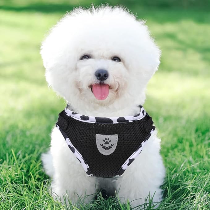 FEimaX Dog Harness and Leash Set for Walking, Soft Mesh Adjustable Easy Control Lightweight Cat Vest Harnesses with Reflective Strips, Escape Proof Small Dogs Cats Vests (Cowblack, Small)