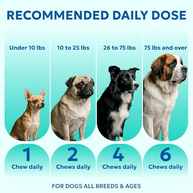 Forticept Allergy & Immune Probiotics for Dogs, Support Seasonal Allergies, Gut & Digestive Health - Enzymes, Colostrum, and Omega 3 Helps with Hot Spot and Yeast, Itch Relif