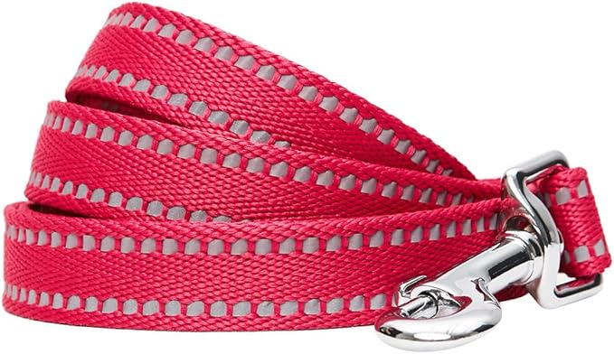 Blueberry Pet Essentials Reflective Dog Collar & Leash Set, Adjustable for Small Dogs | Safe Walking Gear for Pet Parents, Puppy Training & Daily Use SmallDogs, Very Berry