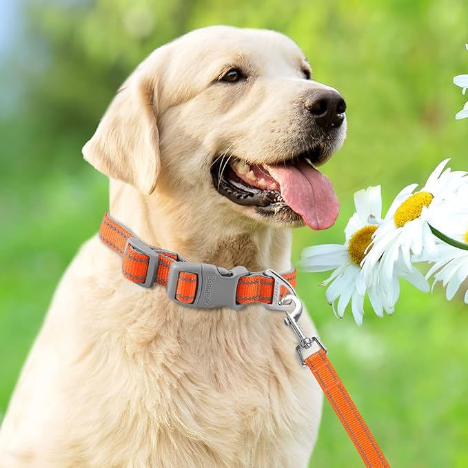 Dog Collar for Medium Small Large Dogs Reflective with Leash,Collar and Leash for Dogs,Soft Neoprene Padded 2 Pack(Orange,L)
