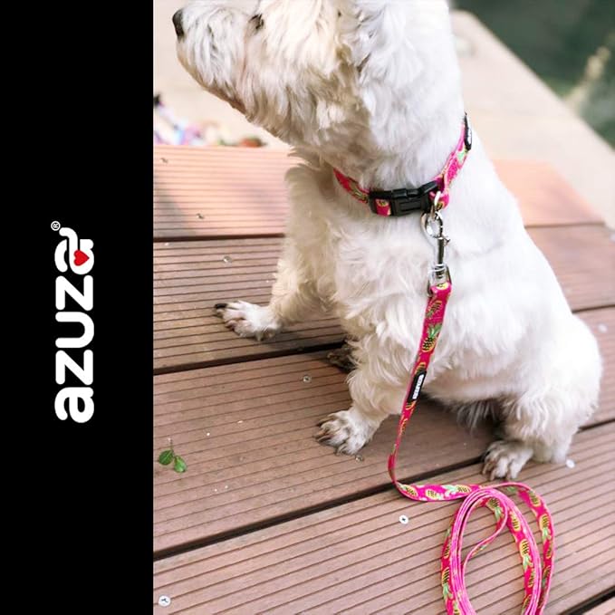 azuza Dog Collar and Leash Set, Pineapple Patterns on Nylon Collar and Matching Leash, Large Dog Collar for Large Dogs