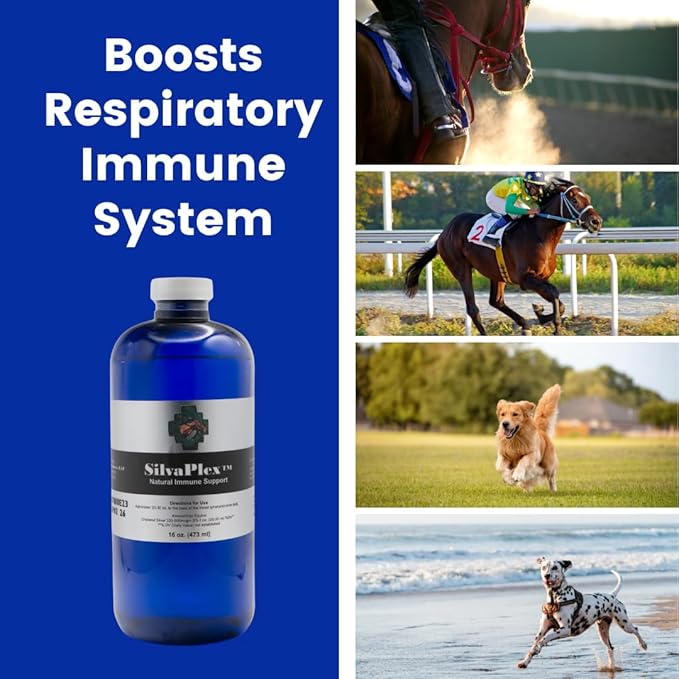 Natural Immune Support Solution - 100 PPM Chelated Silver for Dogs, Cats, Horses, Livestock - Veterinarian Developed Formula - Natural Breathing Support (16 oz)