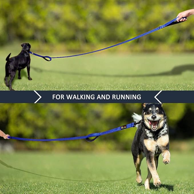 Plutus Pet Double Handle Dog Leash 5ft, Heavy Duty, Reflective Dual Handle Dog Leash for Safety Training, for Medium Large Dogs,2 Handle Leads(Navy Blue)