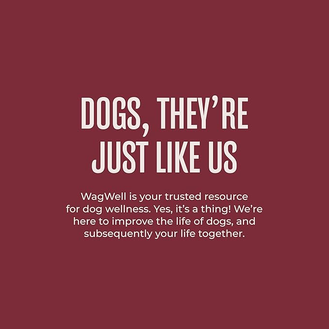 WagWell Freeze-Dried Dog Food Topper, Beef Liver Flavor | Training Treats, Food Topper, Healthy Snack for Dogs | Human Grade, Grain Free, High Protein | Made in USA | 4 oz Bag, 1 Pack