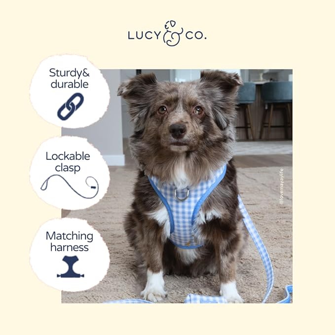 Lucy & Co. Silly Goose Dog Leash, Durable Matching Dog Lead with Heavy Duty Hardware, Large
