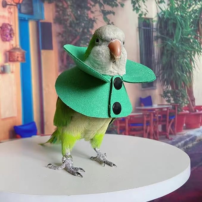 Pet Parrot Anti-bite Elizabethan Collars, Anti-Grab Feather Plucking Wound Healing Safety Recovery Collar Cones for Budgerigar Lovebird Conure Cockatiel Cockatoo Random Color (L)