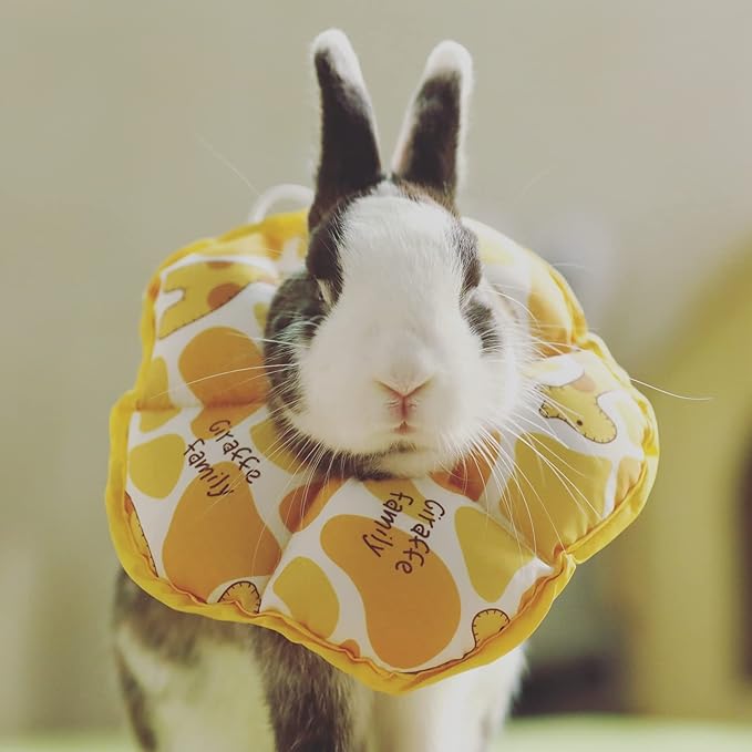 Adjustable Rabbit Protection Cone Collar, Waterproof Pet Recovery Collar for Rabbit Chinchilla Guinea Pigs After Surgery Wound Healing,Elizabeth E-Collar for Small Animals (S (5.9''-9.8''), Yellow)