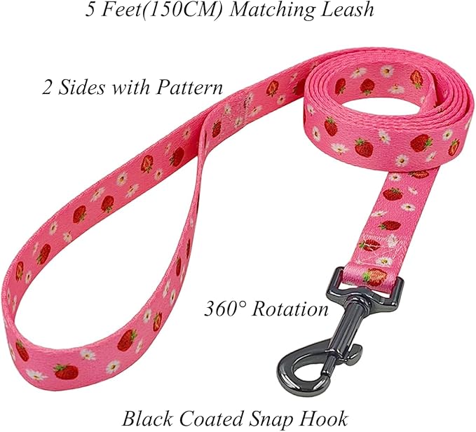 Dog Collar Leash Set, Floral Pattern, Polyester Material, Adjustable Collar and 5ft Matchcing Leash, for Medium Dogs.(M,Daisy and Strawberry)