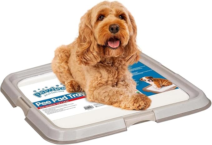 Pawise Dog Pee Pad Holder for Puppy, Puppy Pad Holder Tray, Pet Training Pee Pad, Indoor Potty Tray for Senior Dogs, Dog Toilet for Newborn Puppies, 23.5" x 23.5",Purple