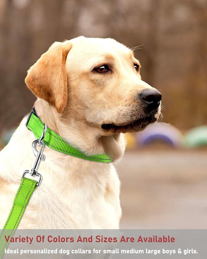Reflective Dog Collar with Buckle Adjustable Safety Nylon Collars for Small Medium Large Dogs, Grass Green XXS