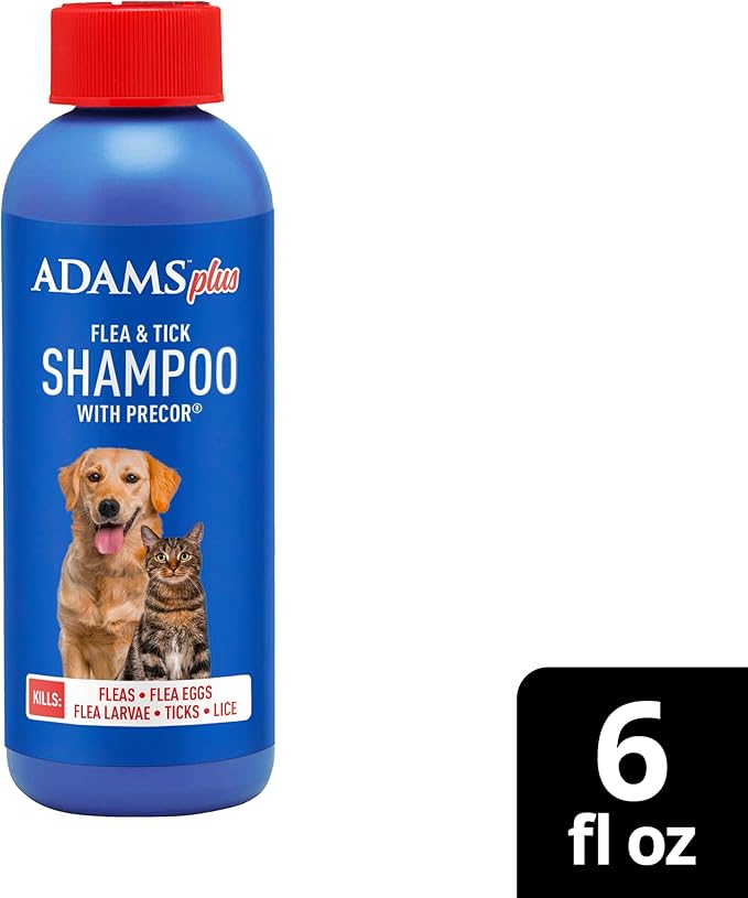 ADAMS Plus Flea & Tick Shampoo with Precor for Dogs, Cats, Puppies & Kittens, Flea Shampoo to Treat Flea Infestations, Kills Ticks, Fleas, Flea Eggs & Lice, Cleans and Conditions Coat, 6 Ounces