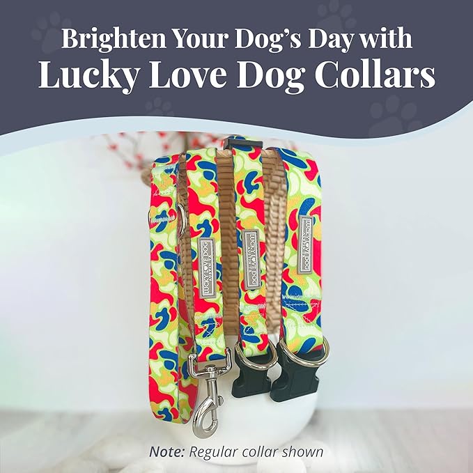 Lucky Love Dog Martingale Dog Collar & Leash - Adjustable, No-Slip, Durable, Comfortable, Soft Webbing, & Stylish Patterned Collar & Leash Set for Male and Female Dogs - Oscar Combo, Large