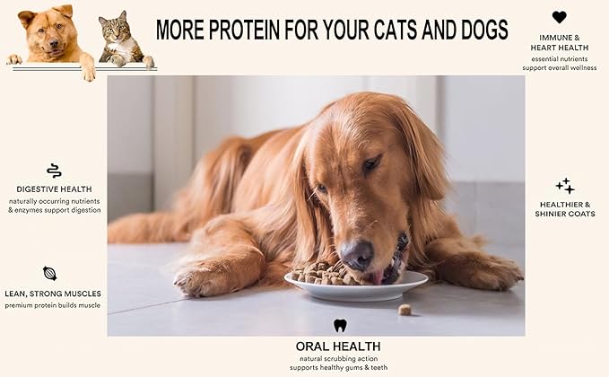 Freeze Dried Duck Liver Cubes Double Pack Dog & Cat Treats Food Topper with Single Ingredient Just Duck Liver (2 Packs)