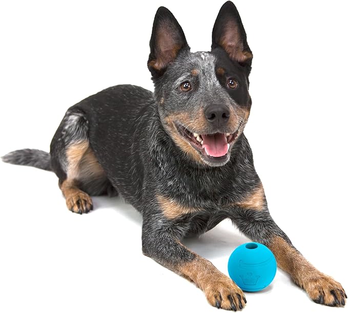 Chew King by Mammoth Glowing Fetch Ball, Dog Ball Toys, 3" Combo