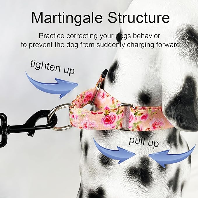 Martingale Collar for Dogs with Buckle Pink Floral Dog Collars No Pull Cute Girl Female Dog Collar for Large Dogs, Watercolor Pink Rose
