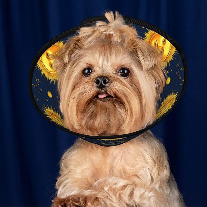 Adjustable Pet Cone, Meet 998 Boho Chic Art Golden Sun Moon and Stars Over Blue Black Sky, Lightweight Recovery Collar, Cats, Puppies, Dogs