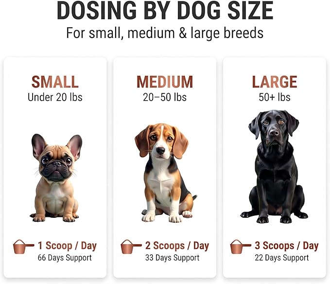 Kopo Dog Multivitamin Powder | Supports Heart, Daily Vitality, Immune Health, Digestion, Skin & Coat and Hip & Joint | For Puppy, Adult & Senior Dogs | Beef Liver Flavor | All Breeds Sizes | 99 Scoops