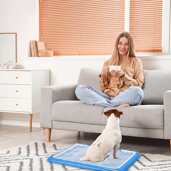 Mifoci 2 Pcs Dog Potty Tray Mesh Puppy Training Pad Holder Floor Protection Portable Pee Pad Pet Toilet Training Tray Litter Box Corner for Medium and Large Dogs (25.6 x 18.9 Inch,Blue)