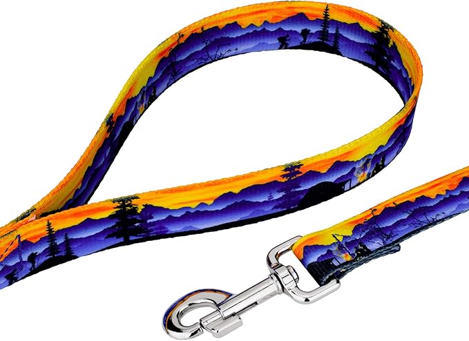 Country Brook Petz - Great Outdoors Everyday Dog Collar and Leash - Sports and Athletics Collection Featuring Spirited Designs (1/2 Inch, 2XS)