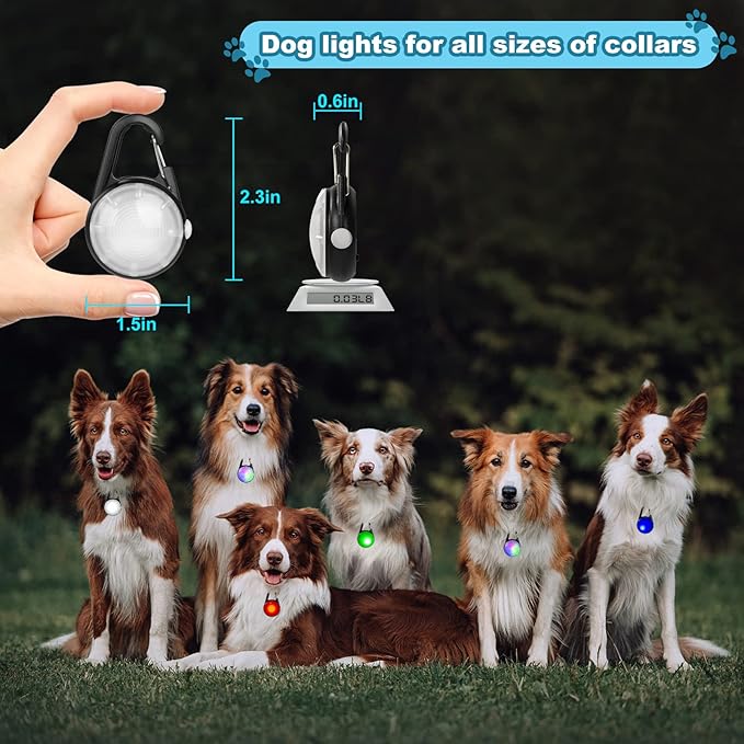 4 Modes Dog Lights for Night Walking, IP68 Waterproof Dog Collar Light, High Capacity Rechargeable Collar LED for Night Time Clip On(Black)