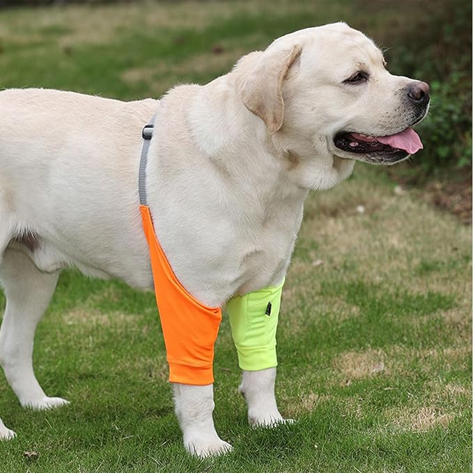 HDKUW Dog Elbow Protector for Calluses, Recovery Suit for Front Legs, Cone Collar Alternative to Stop Licking Wounds, Cover Sleeve for Small Medium Large Dogs - Orange L