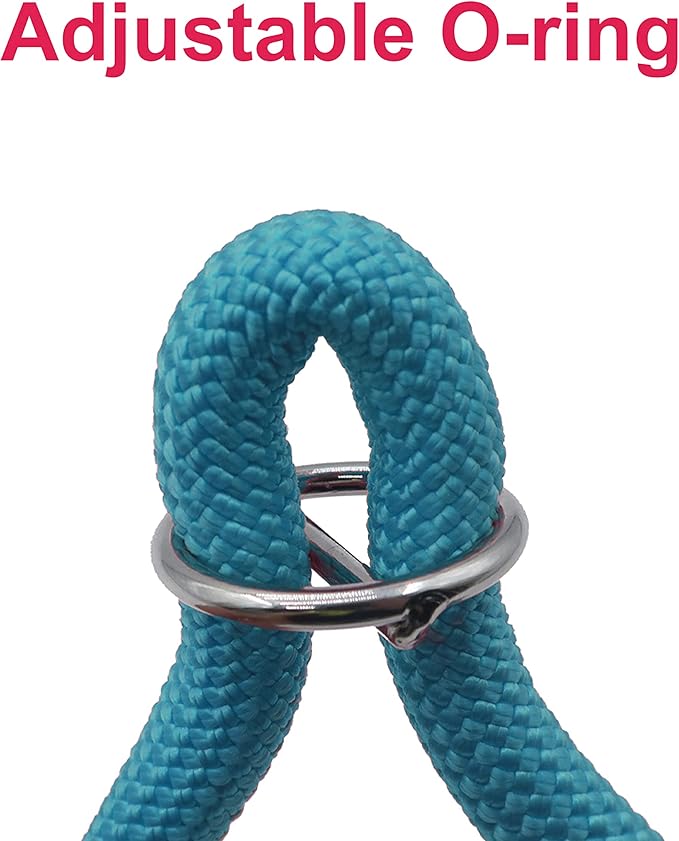 Braided Round Martingale Dog Collar, Training Collar with Slidable Stop Ring - Ideal for Small Medium Dogs (M- (1/3") - 18" Long, Light Blue)