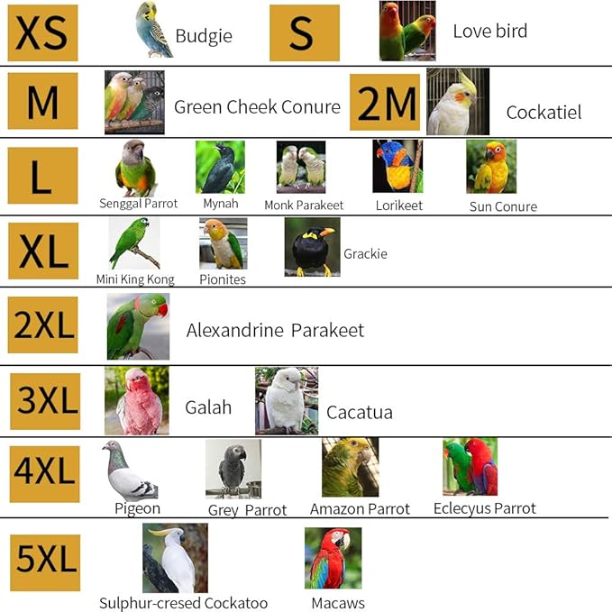 Adjustable Parrot Cone Collar, Safe and Practical Cotton Collar to Prevent Bites and Licking Wounds, to Help heal (2M)
