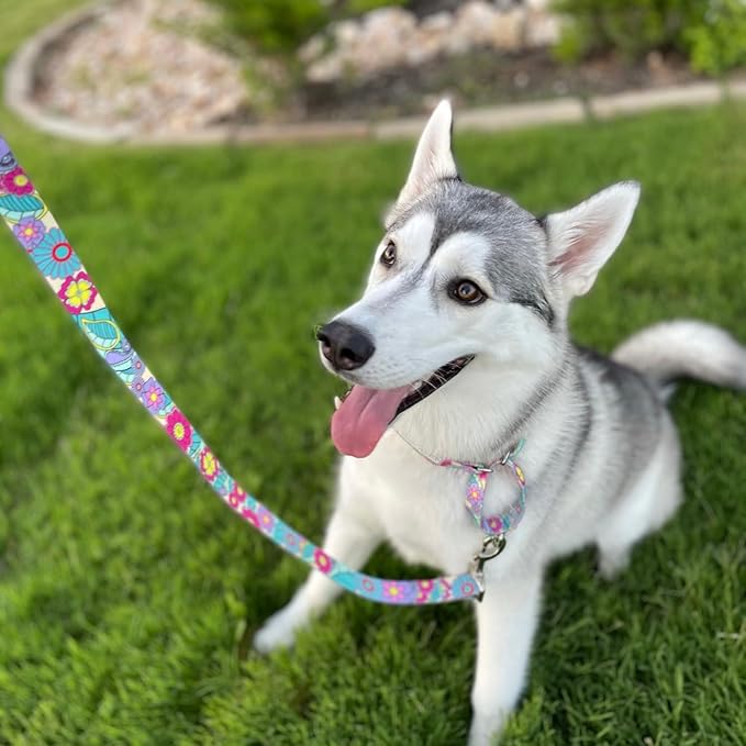 Lucky Love Dog Martingale Collar and Leash Set, Premium No Slip Martingale Collar for Dogs, Great for Whippets, Greyhounds, and More (Caroline, Small - Combo)