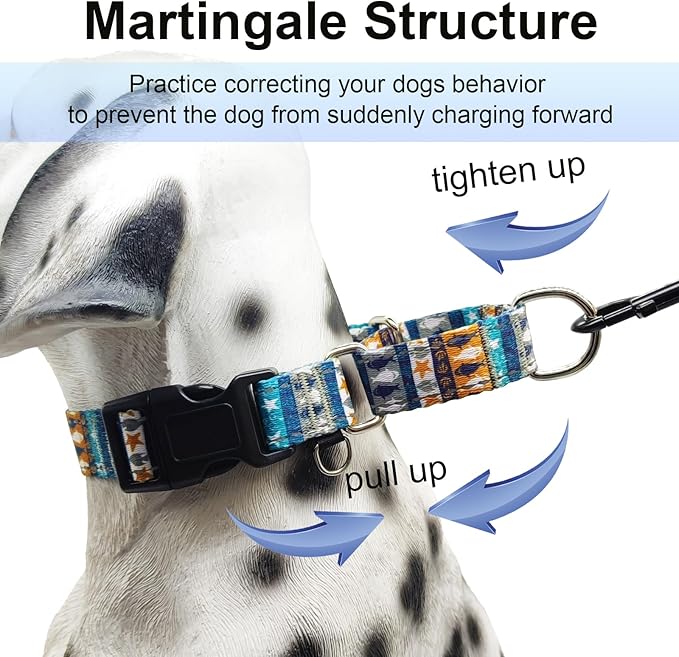 Reflective Martingale Collar with Buckle Shark Starfish Ethnic Stripe Adjustable Designer Dog Collars (Underwater World, XSmall)