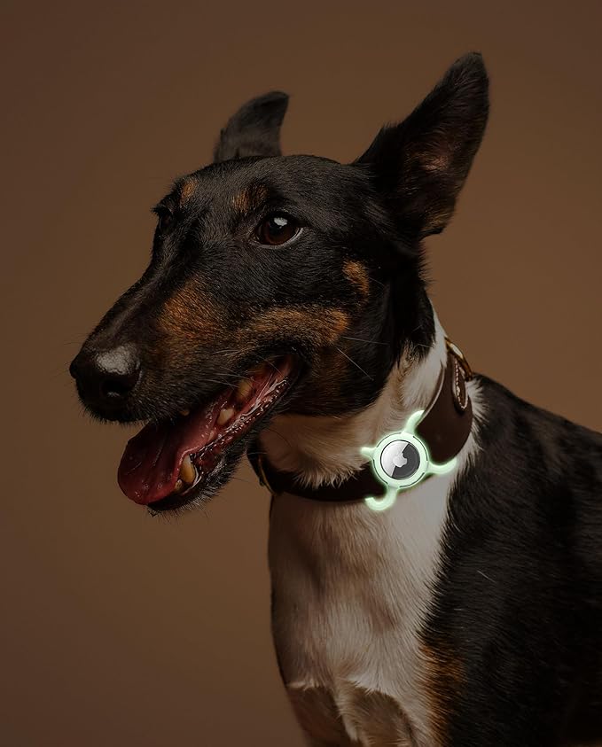 Waterproof Airtag Dog Collar Holder, Silicone & ABS Airtag Holder for Dog & Cat Collars, Ultra-Durable, Lightweight and Protective Airtag Case (Luminous, Large)