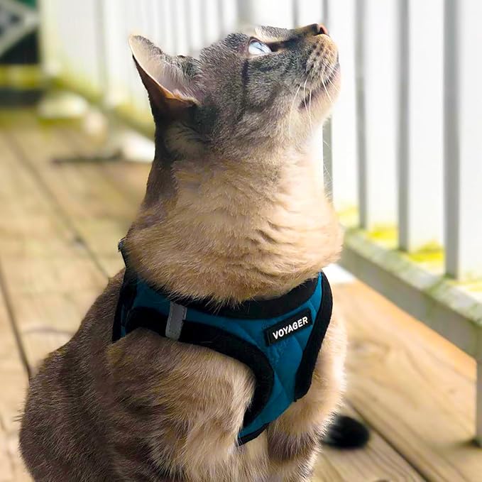 Best Pet Supplies - All Weather Plush, Reflective, No Pull Harness for Small, Medium Dogs, Cats - Secure with Hook & Loop Fastener, Buckle, Double D-Rings - Turquoise Plush, XS