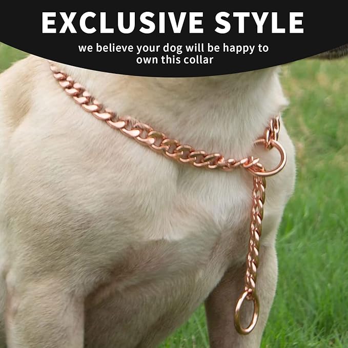 Stainless Steel P Chock Metal Chain -JYHY Dog Necklace Collars Walking Training Pet Supplies for Small Medium Large Dogs (20" (Neck Fits 16"-18"), Rose Gold-1)