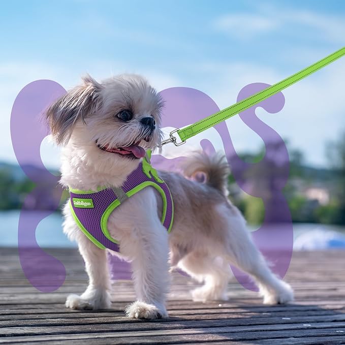 rabbitgoo Dog Harness Small Sized and Leash Set, Step-in Breathable Pet Harness, Soft Walking Reflective Puppy Vest for Small Dogs, Purple & Green, XXS