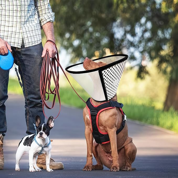Pet Dog Cone Collar After Surgery, Adjustable Plastic Pet Recovery E-Collar for Dogs Cats, Soft Breathable Surgical Elizabethan Dog Neck Cover for Prevent Biting and Stop Licking Wound Medium
