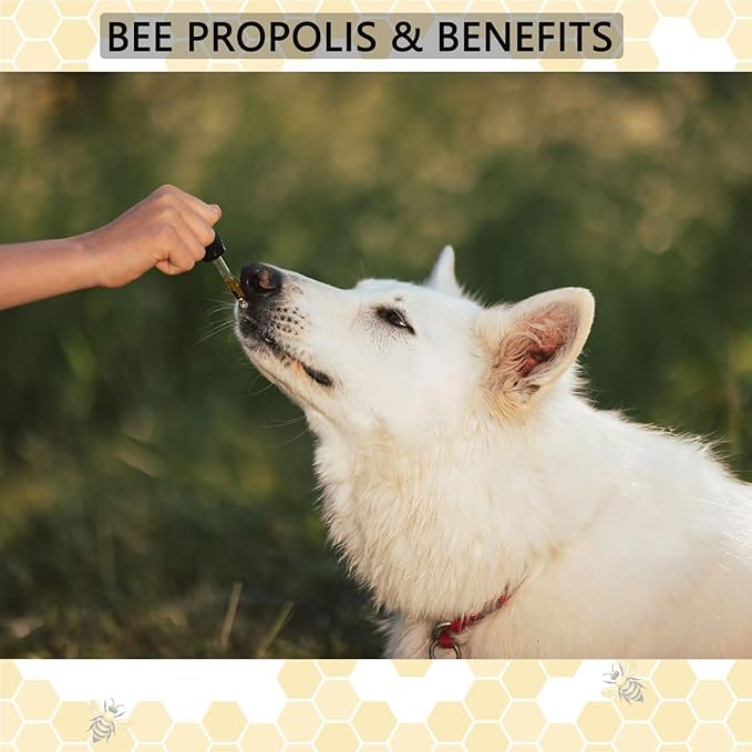 Accretion Bee Propolis for Dogs & Cats, 2 fl oz, Dental Defense & Respiratory Health, Supports Seasonal Immunity & Immune System, Natural Oral Care Supplement