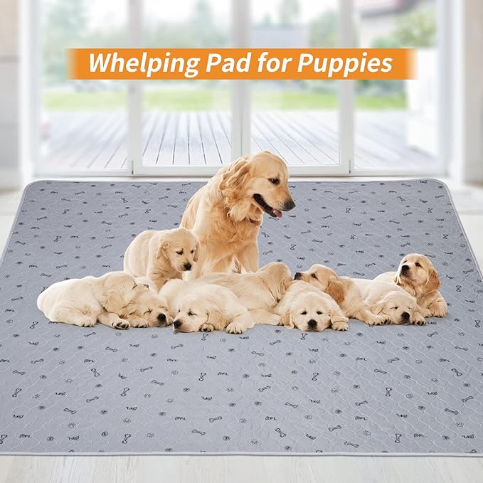 Pee Pads for Dogs Washable,34x52 Reusable Puppy Pads, Absorbent Whelping Pads with Bone Print, Non-Slip Waterproof Pet Training Pads for Couch, Crate, Potty Training