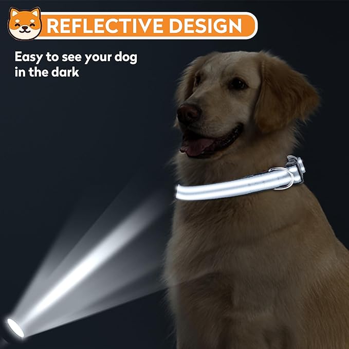 Reflective Dog Collar, Adjustable Soft Neoprene Padded Nylon Pet Collars with Buckle for Large Dogs, Gray,L