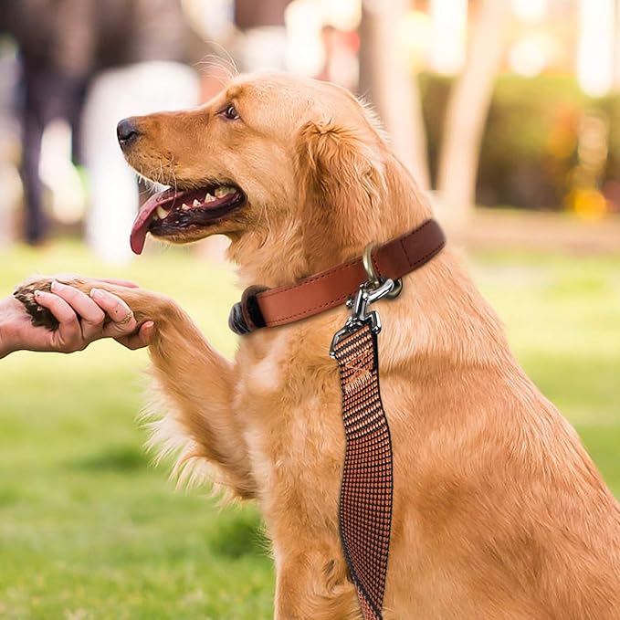 Hi Kiss Dog/Puppy Obedience Recall Training Agility Lead - 15ft 20ft 30ft 50ft 100ft Training Leash - Great for Training, Play, Camping, or Backyard(100ft,Black_Orange)