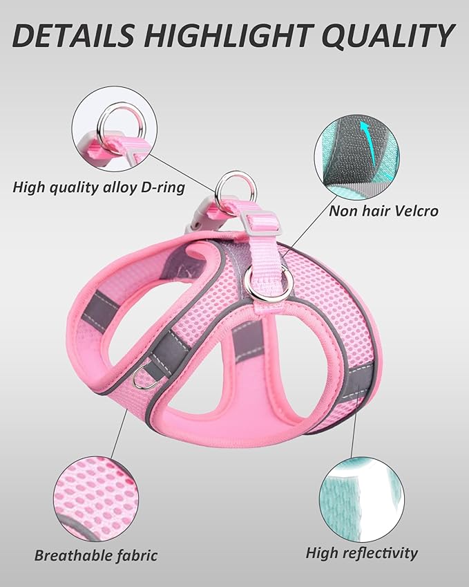 Solmoony Dog Harness for Small Medium Dogs No Pull, Puppy Harness and Leash Set, mesh Dog Harness. (Green, XS)