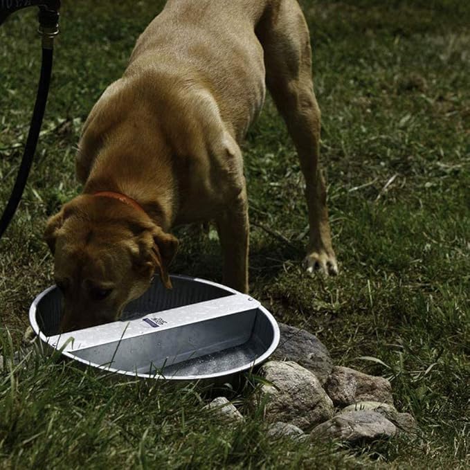Little Giant PW13 13-Quart Capacity Rust Resistant Galvanized Steel Ever Full Pet Water Bowl Dish Attachable to Standard Hose (4 Pack)