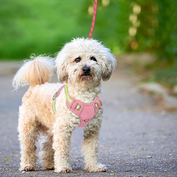 BARKBAY No Pull Dog Harness Large Reflective Dog Harness with Front Clip and Easy Control Handle for Walking Training Running with ID tag Pocket(Baby Pink & Sunlight,S)