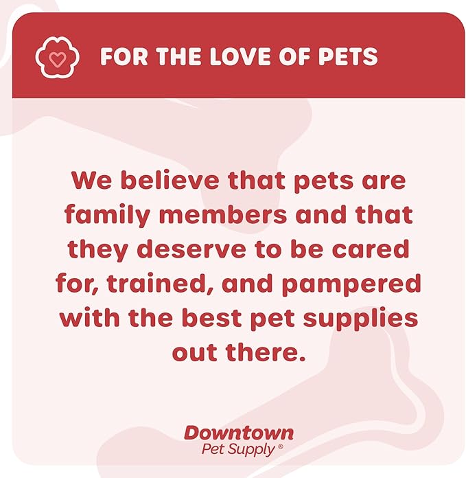 Downtown Pet Supply Step-in Dog Harness – No Pull, Adjustable Padded Mesh with Reflective Trim, Secure Buckle Strap – Comfortable & Breathable Small Dog Harness, XX-Small, Floral