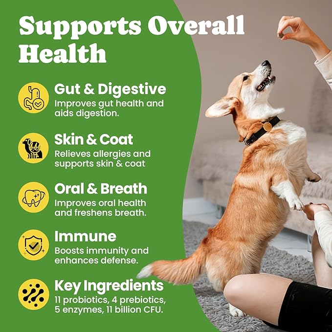 Probiotics for Dogs - Digestive & Gut Health for Sensitive Stomachs ,Dog Probiotics Powder for Skin & Coat, Breath and Immunity with 11 Strains, 4 Prebiotics, 5 Enzymes, Pumpkin, 60 Packets, Chicken