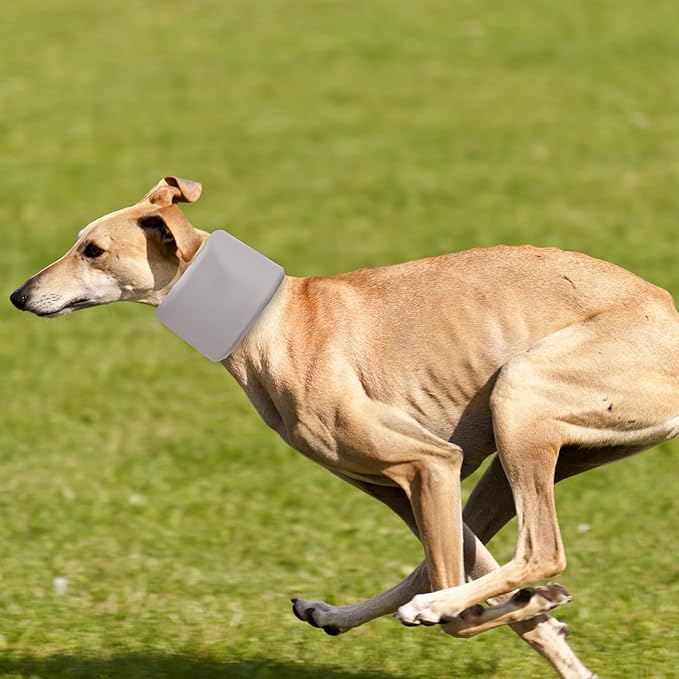 Dog Neck Brace for Pet After Surgery Recovery Adjustable Breathable Neck Cervical Cone,Dog Cone Collar Recovery Head Cone for Small Medium Dogs Puppies Kittens with Spinal IVDD Lssues (Gray,XL)